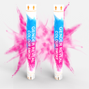 Gender Reveal Holi Cannon 2pk