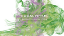 Eucalyptus Ambiance Fragrance