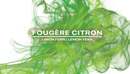 Fougere Citron Fragrance