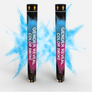Gender Reveal Holi Cannon 2pk