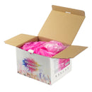 5kg Holi Box