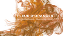 Fleur D'Oranger Ambiance Frangrace