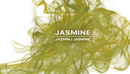 Jasmine Ambiance Fragrance