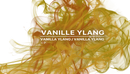Vanille Ylang Ambiance Fragrance