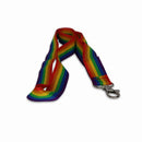 Rainbow Party Lanyard